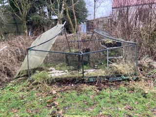 squashed fruit cage