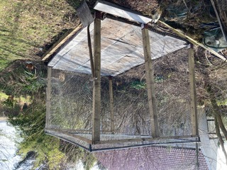 new fruit cage
