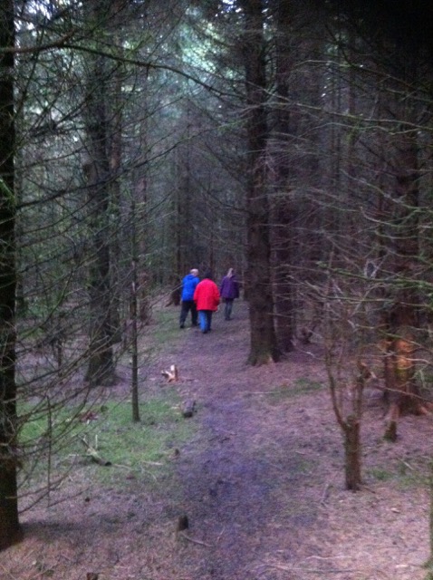 If you go down to the woods today....
